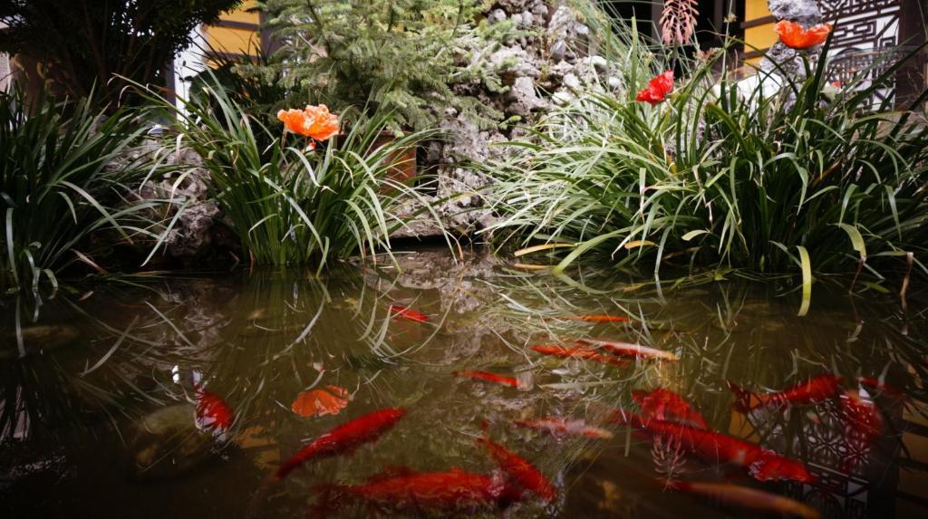 Lijiang Wangjia Courtyard Inn Exterior foto